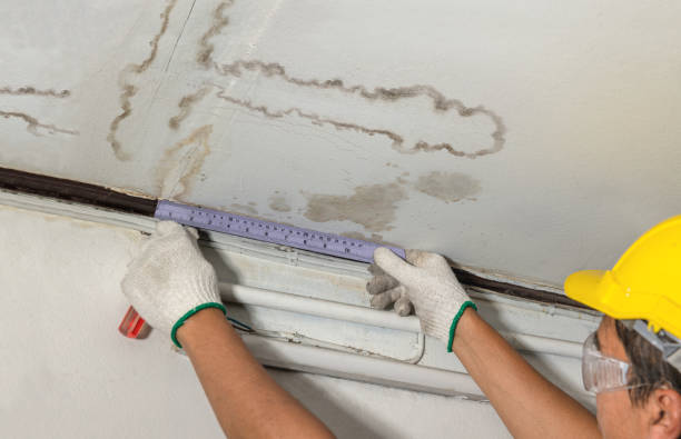 Reliable Water Damage contractor in Woodinville, WA by Water Damage Irwin